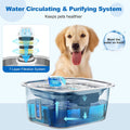 Stainless Steel Dog Water Fountain with Visible Water Level Window for Large Dogs